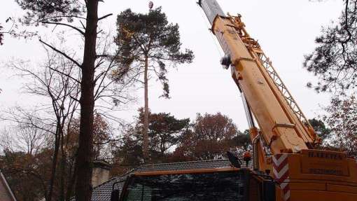 rooien van bomen met een telescoopkraan verwijderen mastbomen in gilze en goirle